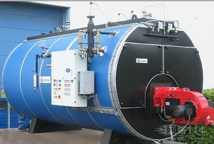 蒸汽鍋爐 工業(yè)革命的心臟與現(xiàn)代工業(yè)的基石